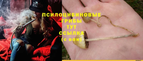 прущие крисы Аша