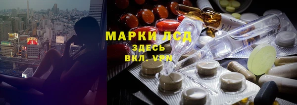 СК Магадан