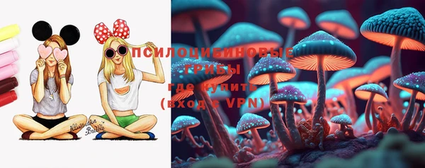 мяу мяу мука Магас