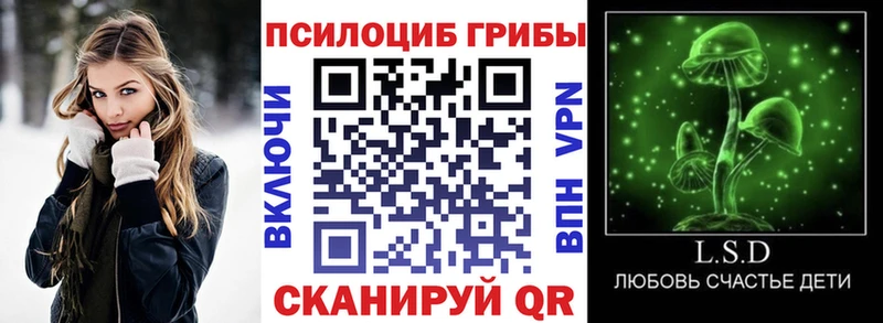 Галлюциногенные грибы Psilocybine cubensis купить наркотики цена Очёр