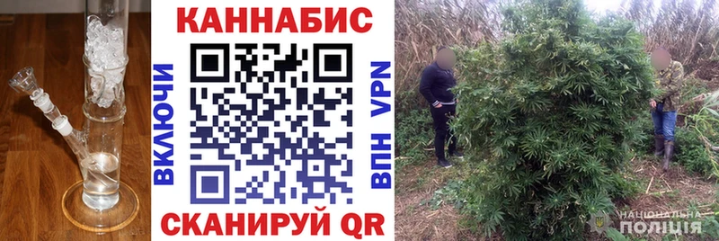 shop состав  магазин продажи наркотиков  Очёр  Канабис VHQ 